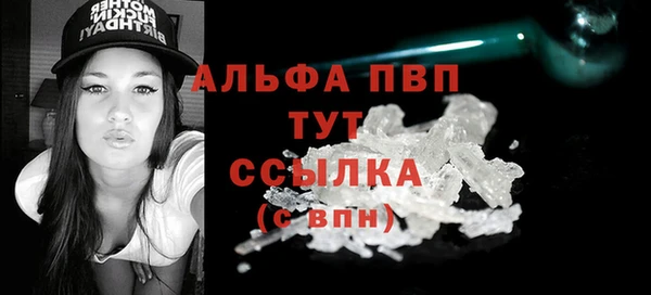 гидра Бородино
