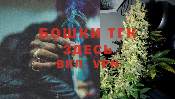 гидра Бородино