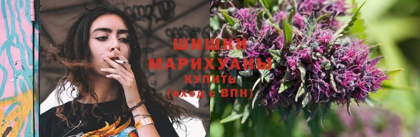 гидра Бородино