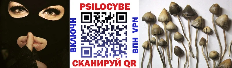 нарко площадка Telegram Губаха Псилоцибиновые грибы прущие грибы